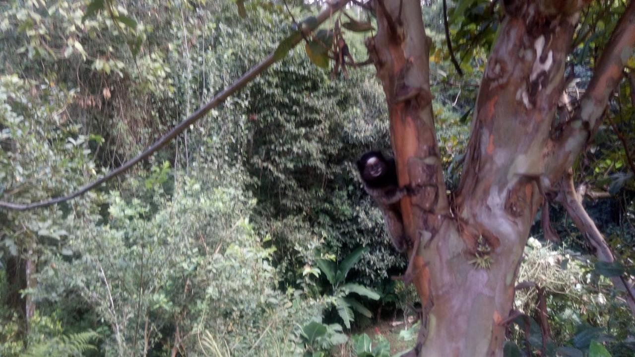 Chalés pouso do vale Visconde de Mauá Exterior foto